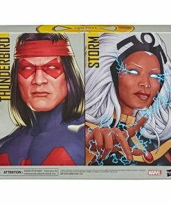 Brand new ???? Hasbro - Legends Series Marvel Legends Action Figure 2-Pack Storm & Marvel's Thunderbird 15 Cm ???? 12 Brand new ???? Hasbro - Legends Series Marvel Legends Action Figure 2-Pack Storm & Marvel's Thunderbird 15 Cm ???? -hasbro Sales Store x hase9297 i 1