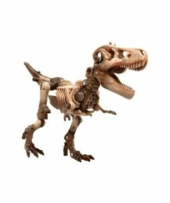 Top 10 ???? Hasbro - Transformers Transformers Generations War For Cybertron: Kingdom Action Figures Deluxe 2021 W5 14 Cm Paleotrex ???? -hasbro Sales Store x hasf03645l04 a